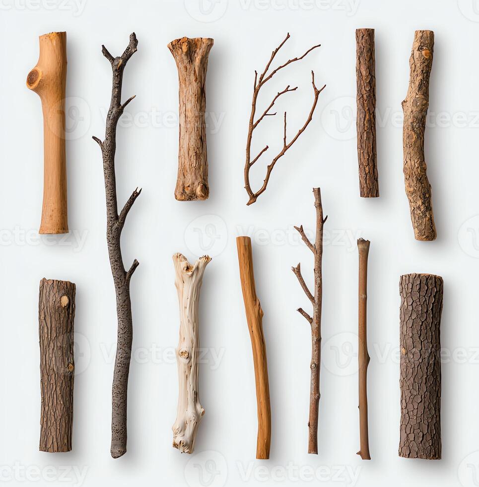 A collection of various tree branches and twigs arranged on a light background, showcasing natural shapes and textures. photo