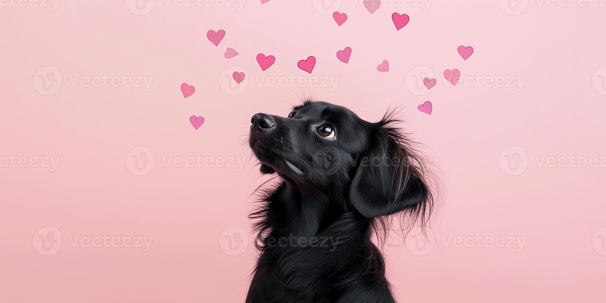 A cute black dog on a pink background with floating hearts, capturing a moment of affection and joy. Perfect for love and pet-themed projects or promotions. photo