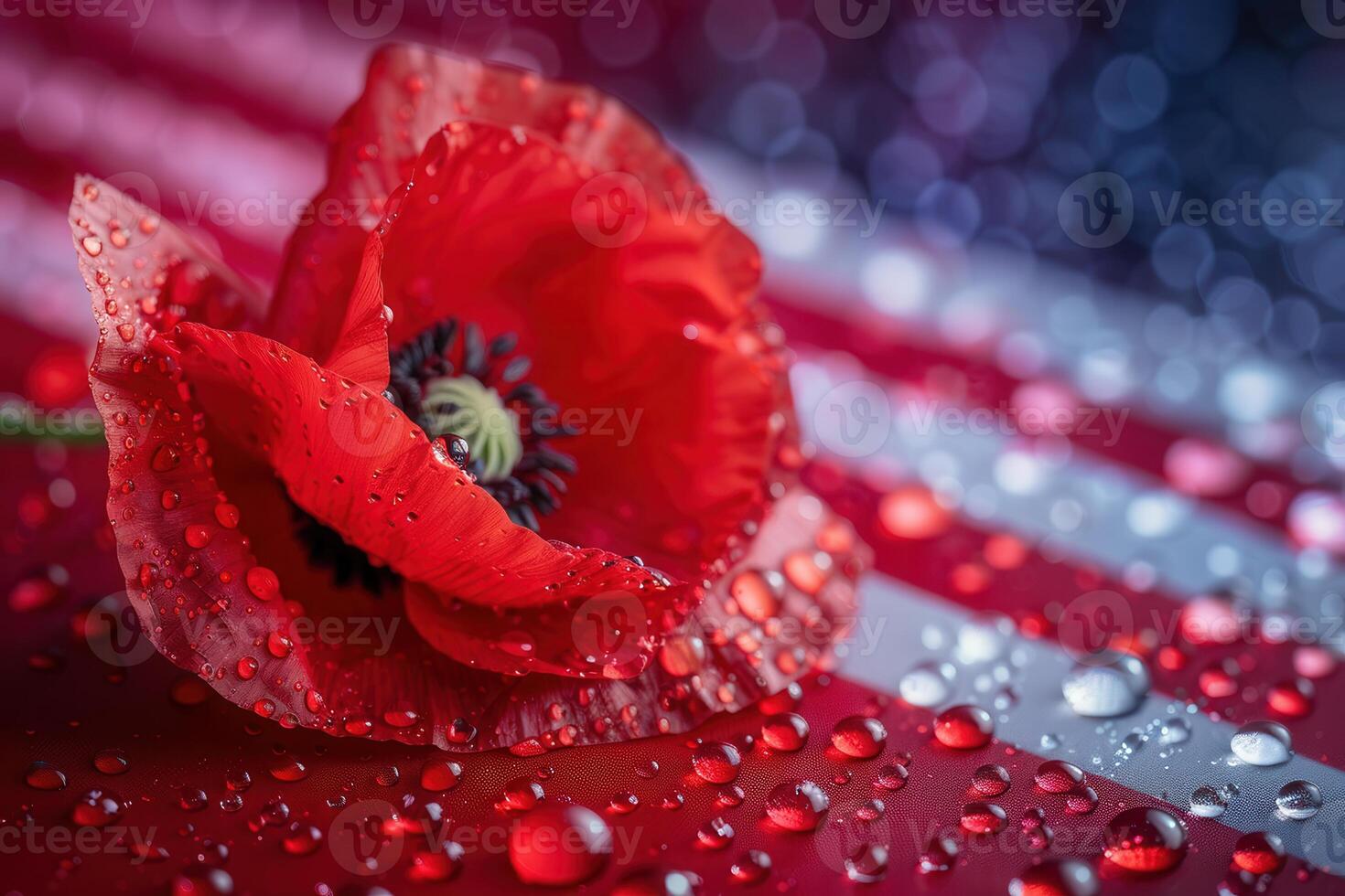 Vibrant Poppy Macro with Dew and Subtle American Flag Background for Artistic Design photo