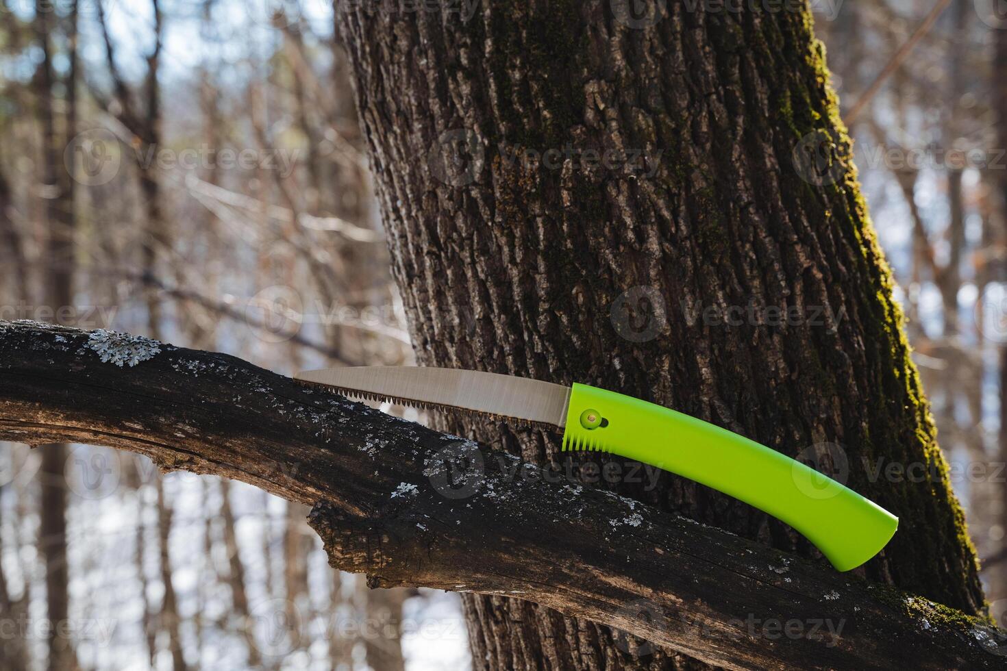 A vibrant green saw, featuring an ergonomic grip for user comfort, rests on a sturdy branch, showcasing its preparedness for executing precise cutting and crafting tasks efficiently photo