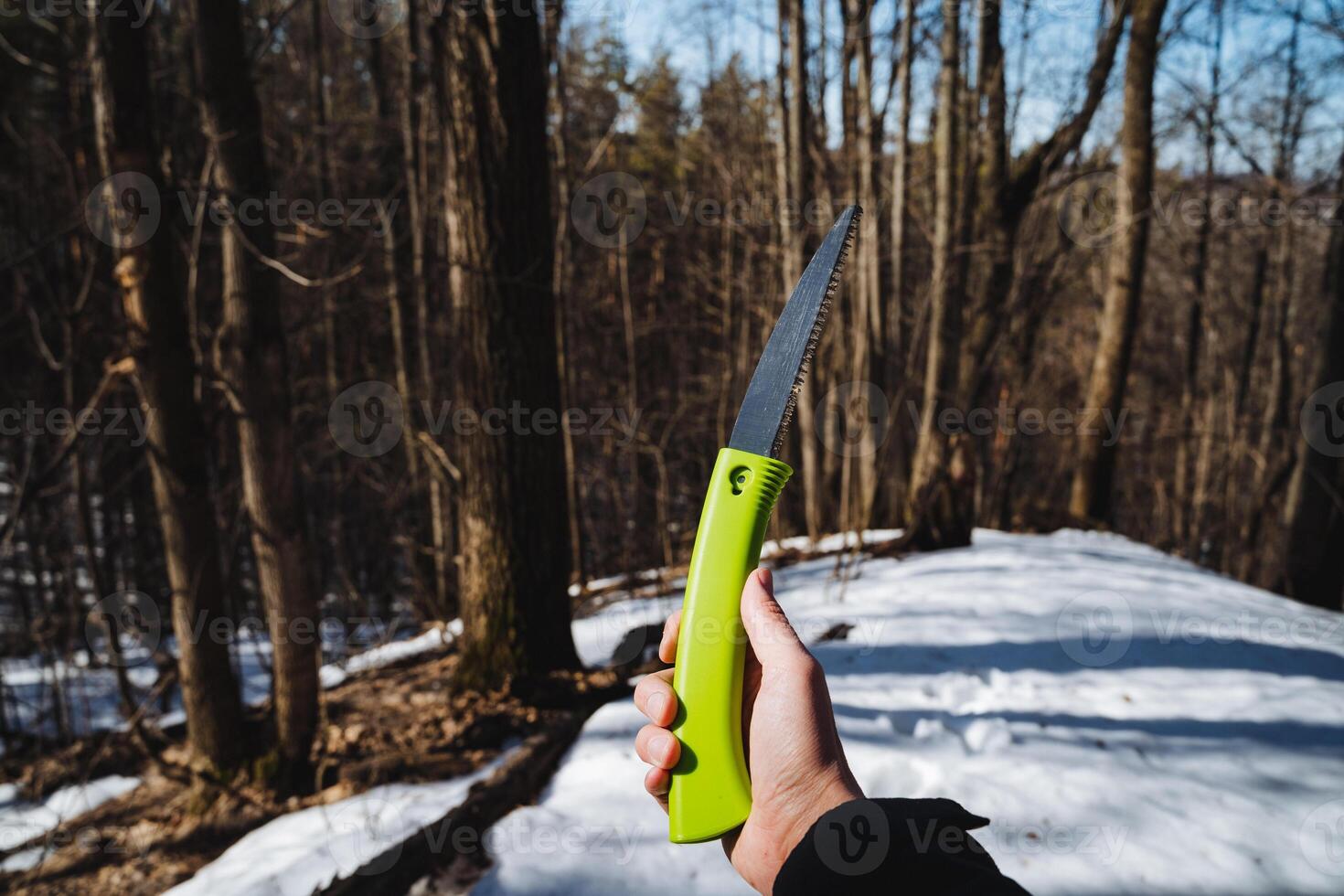 A person is currently holding a bright green saw firmly in their hand while standing amidst the dense woods, which are filled with tall trees and lush, vibrant greenery all around them photo