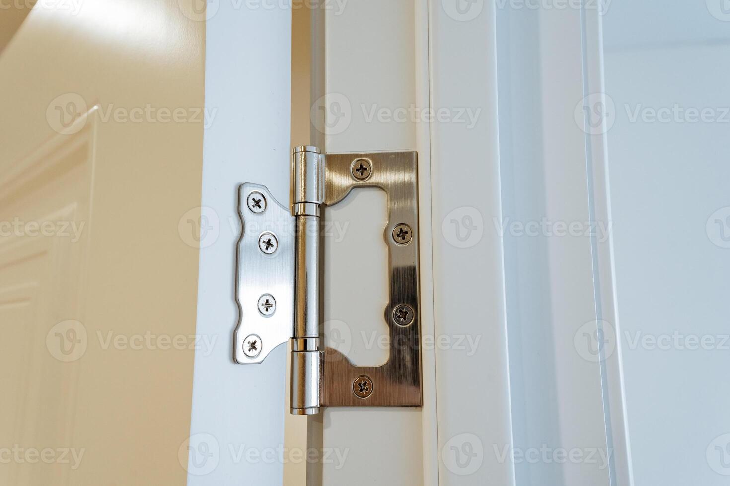 This is a detailed closeup image showcasing a door hinge installed on a sleek, white door, emphasizing the intricate design and functionality of the hardware that keeps doors secure photo