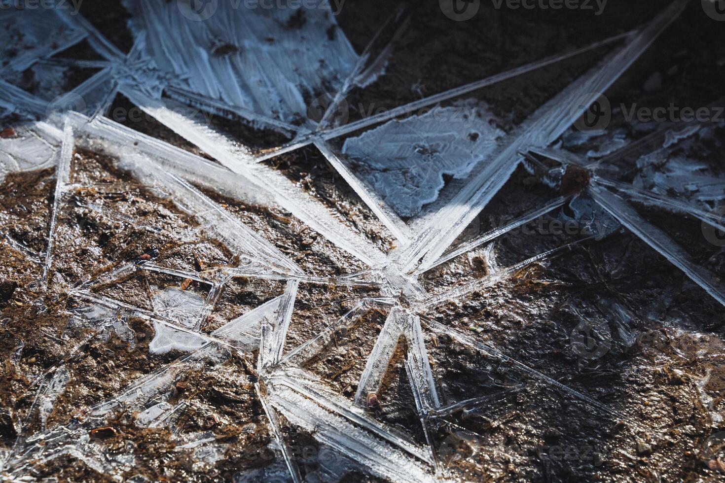 This image presents a detailed closeup view of a unique piece of ice that is resting on a natural rock surface, showcasing the fascinating interplay between the ice and natural stone photo
