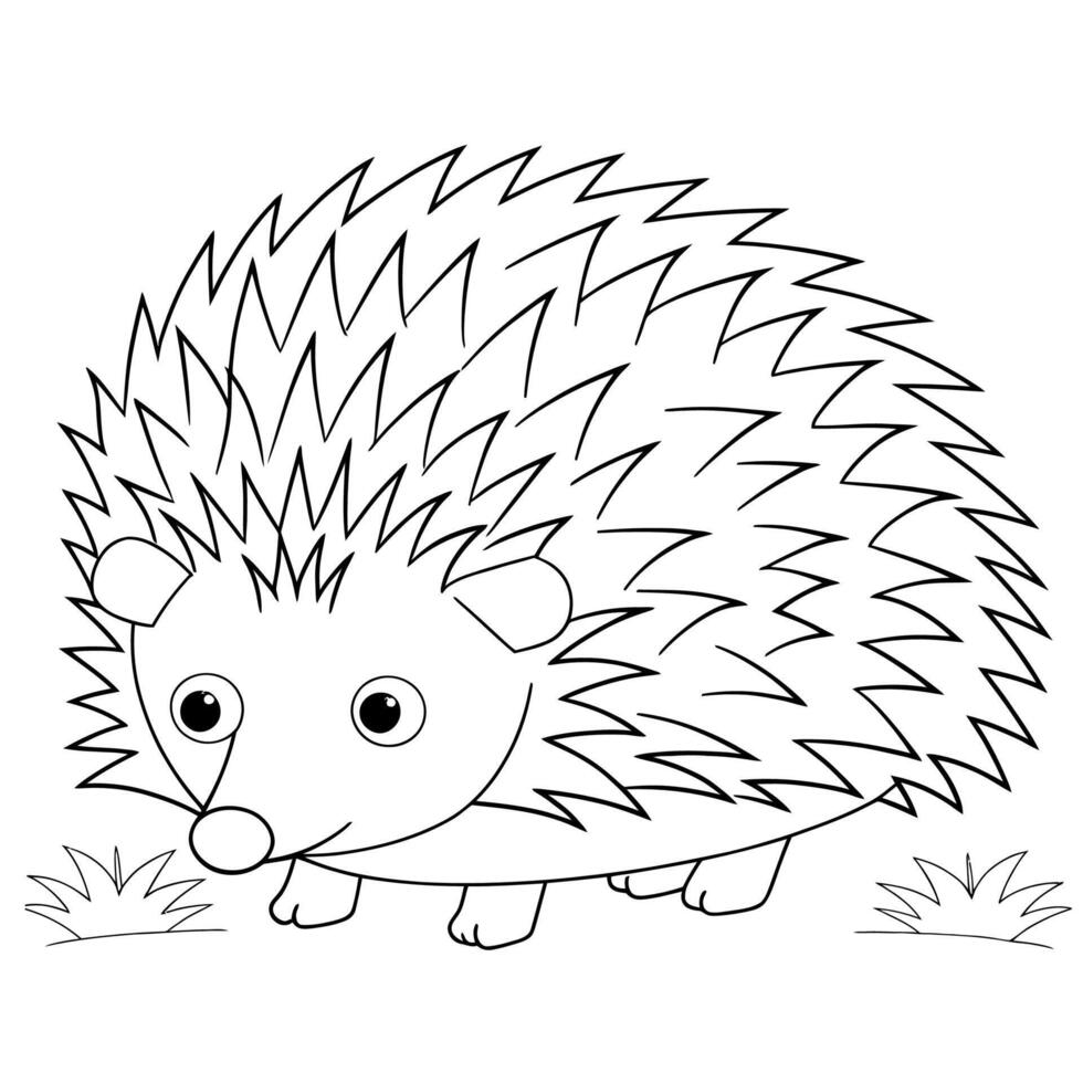 Adorable cartoon hedgehog illustration perfect for coloring books, educational materials, or children's activities. vector