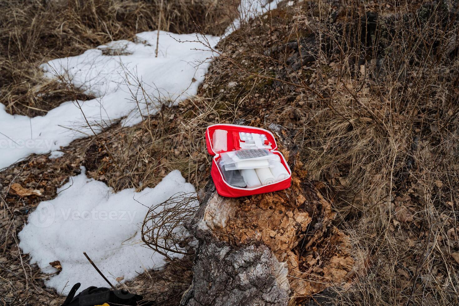 A first aid kit is currently laying on the ground beside a dog, which adds an interesting element to the scene. It seems that winter is here, and the surroundings may include plastic waste photo
