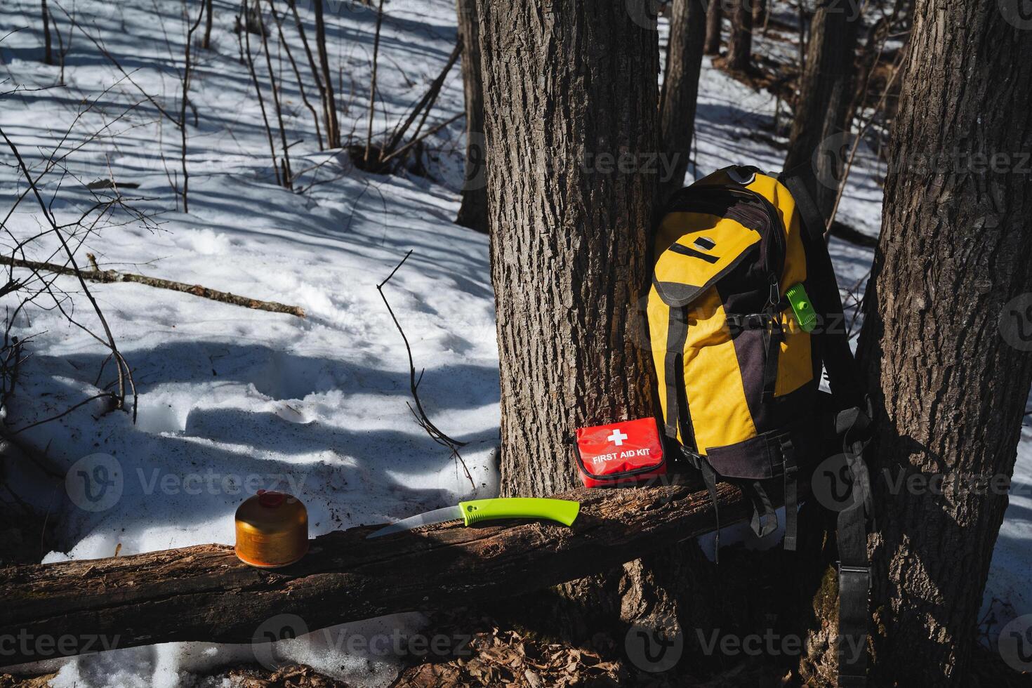 For winter adventures, pack essentials like a sturdy backpack, a reliable first aid kit, and snacks to maintain energy while exploring beautiful icy landscapes photo