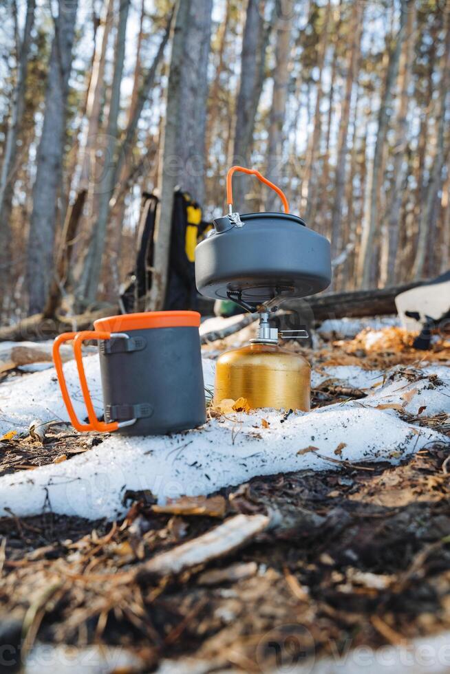 In a charming and enchanting woodland setting, a delightful cup and kettle harmoniously coexist amidst the vibrant greenery, while the rustling leaves create a truly tranquil atmosphere photo
