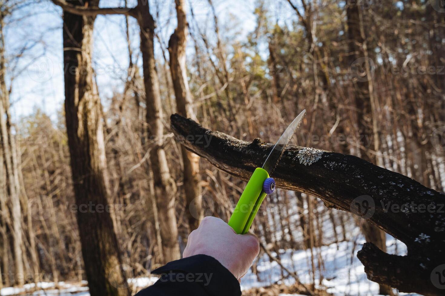 A person is skillfully using a vibrant multicolor knife to cut a branch while exploring a winter forest, showcasing adventure and craftsmanship in a tranquil outdoor environment photo