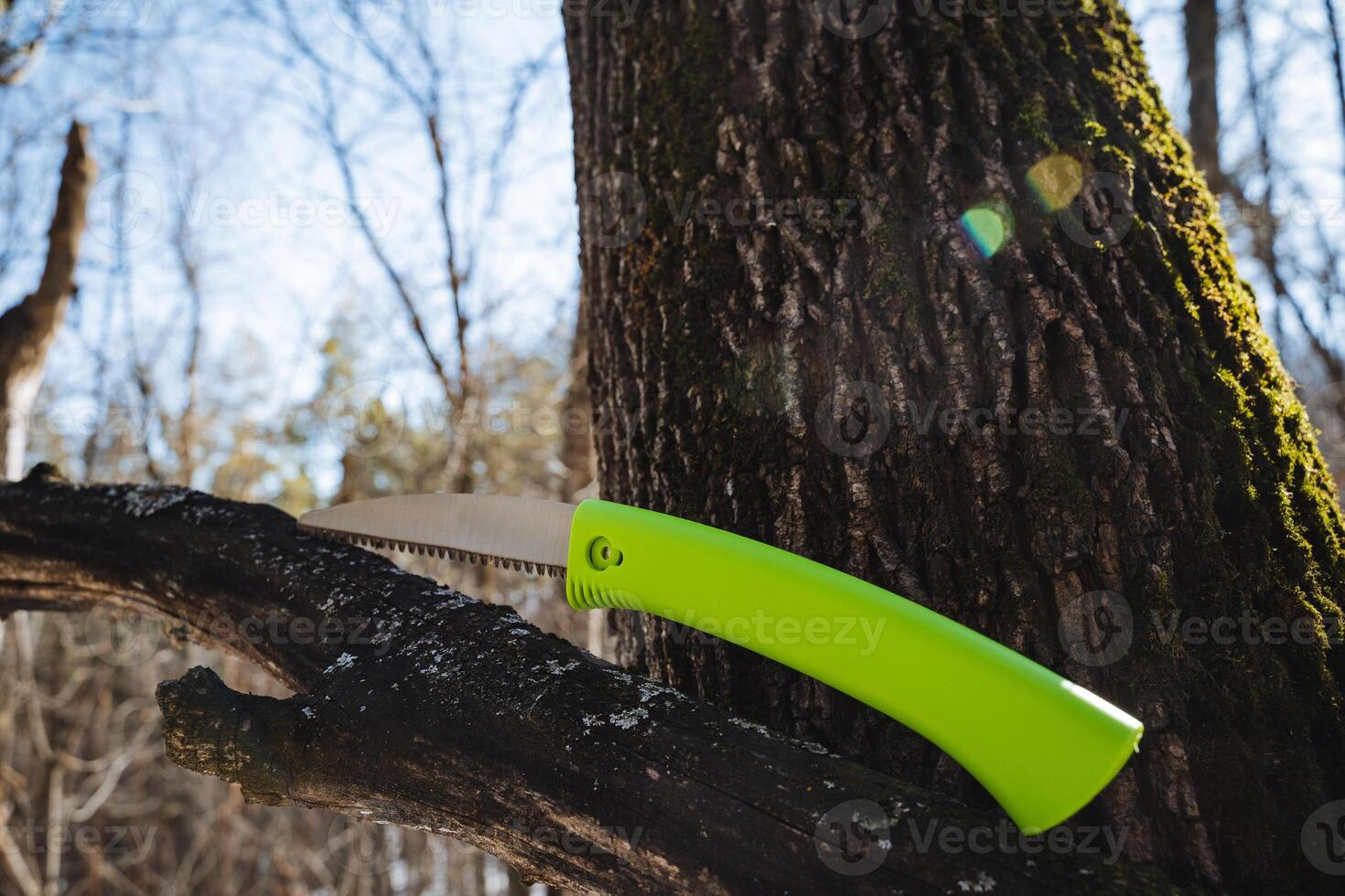 In a sunny forest, a vibrant green folding saw leans against a sturdy branch, showcasing craftsmanship ideal for gardening and woodworking, essential for nature enthusiasts photo