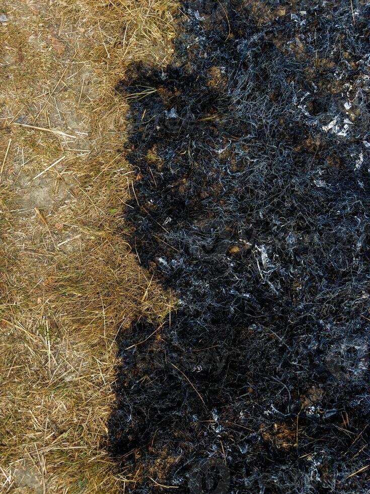 Spring fires. Grass that have been burned to ashes. Dry grass and grass that have been burned to ashes photo