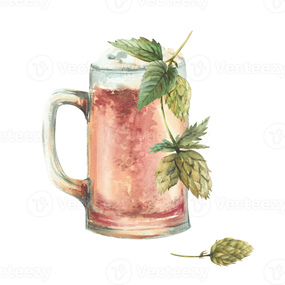 Beer mug with Green hops branch. Watercolor light masses or litre of foamy beer, pint of ale, brewery product. Oktoberfest Germany Bavaria holiday drink. Hand draw isolated illustration for card, menu png
