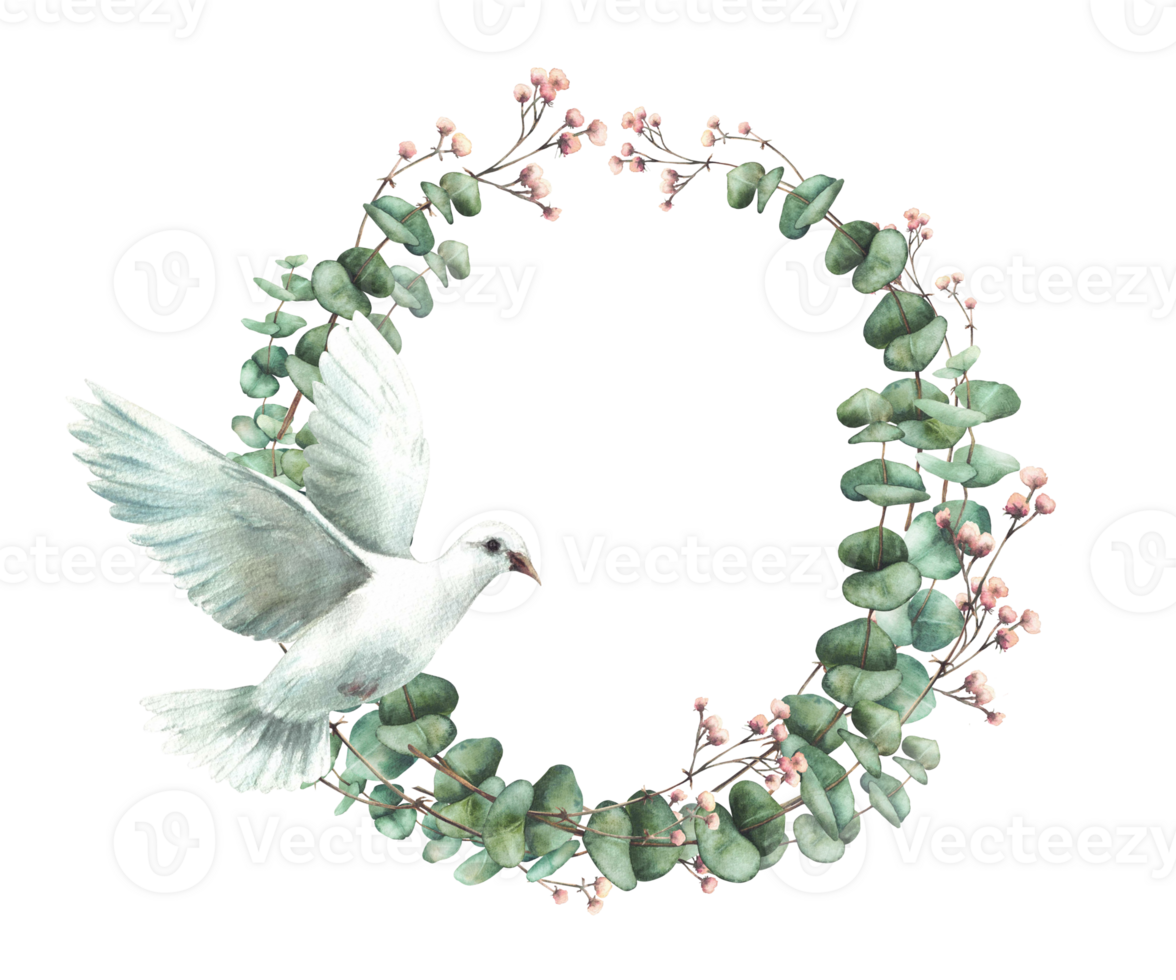 Dove with Eucalyptus plant and pink flower wreath Flying white pigeon with watercolor green branches circle frame hand drawn illustration for wedding card, baptism invitation isolated from background png