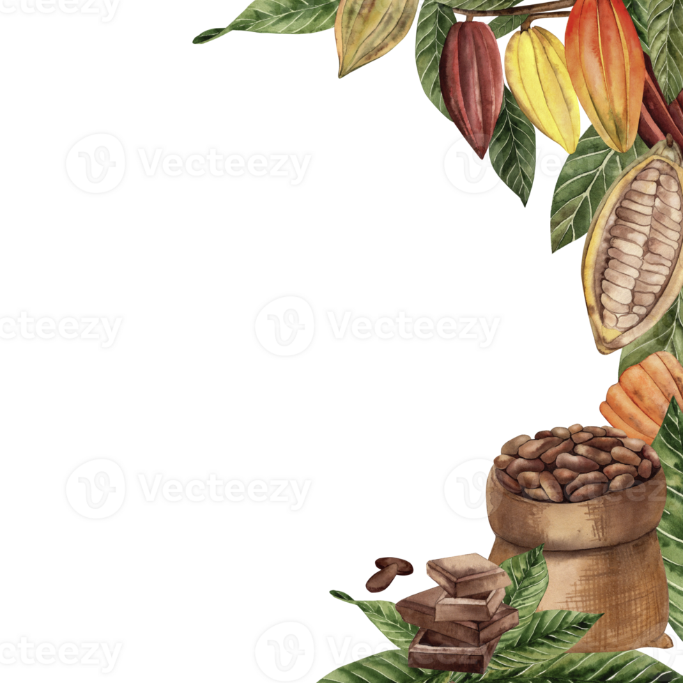 The frame is decorated with cocoa beans, leaves, pieces of chocolate. The template of watercolor illustrations with cocoa tree fruits, a bag of grains, dessert is hand-drawn in brown, green, yellow png