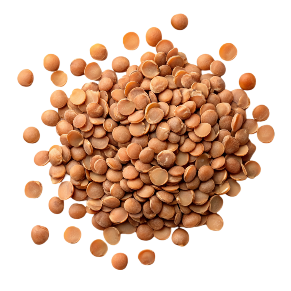 Lentils in a Scattered Pile Isolated on Transparent Background png