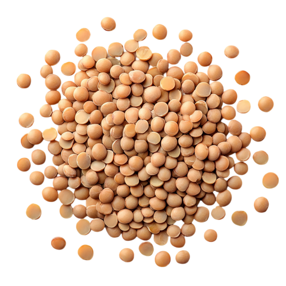 Dry Round Lentils in a Scattered Pile Isolated on Transparent Background png