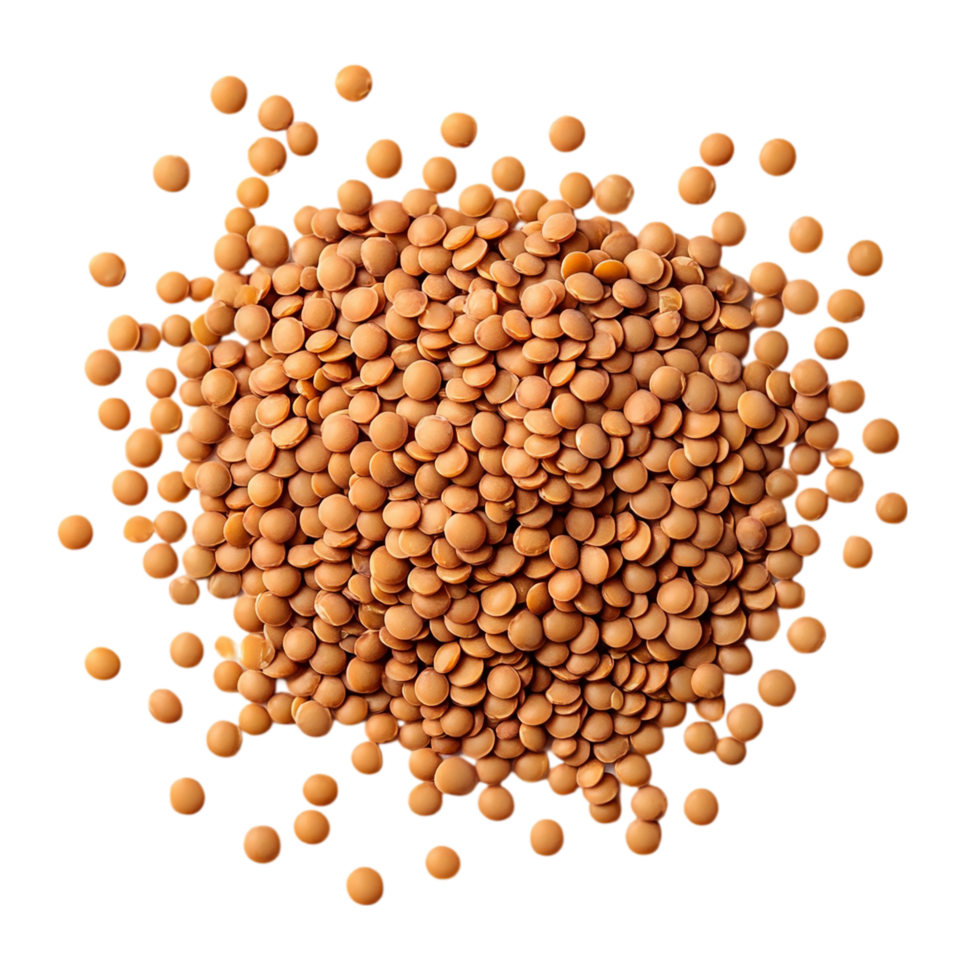 Pile of Vibrant Orange Lentils Isolated on Transparent Background png