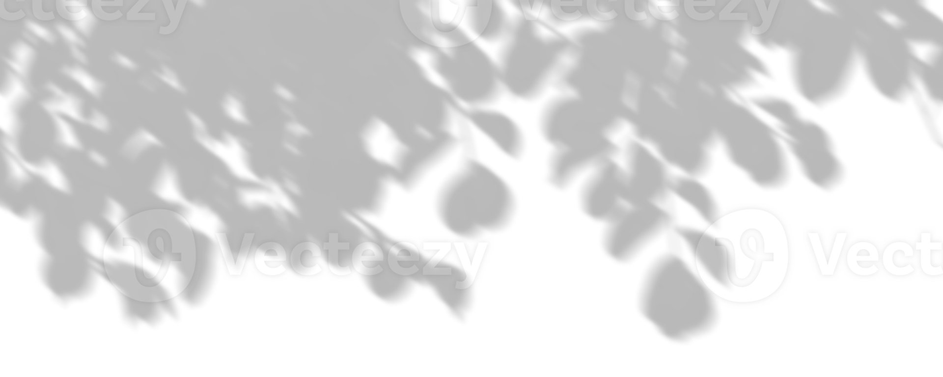 Isolate shadow tree branches leaves movement on transparent backgrounds 3d illustrations png