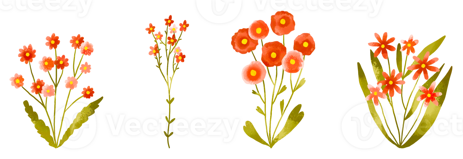 Cute watercolor red field flowers set with small wildflowers. Botanical illustration minimal style. Blossom hand drawn illustration. Easter decoration. Blossom png
