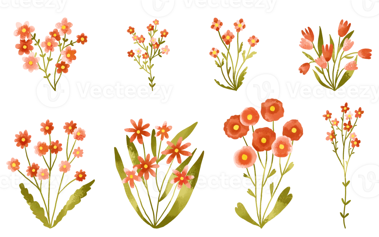 watercolor red field flowers set with small wildflowers. Botanical illustration minimal style. Blossom hand drawn illustration png