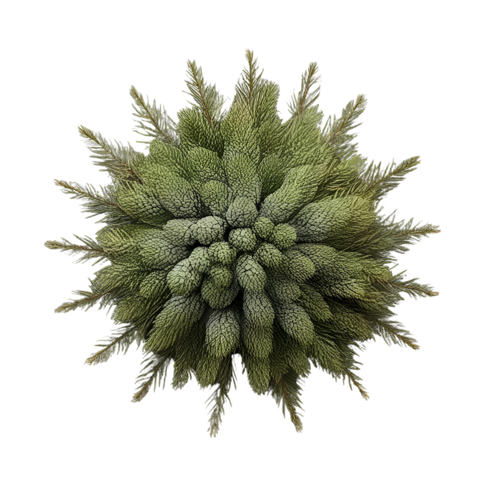A photo of a a green plant isolated on a transparent background png