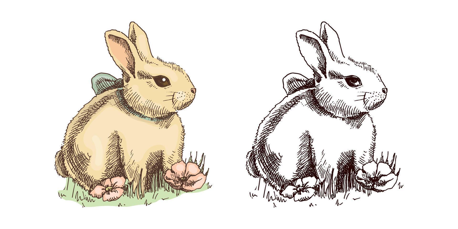 Hand-drawn vintage sketch of colored and black bunnys. Easter Holiday. Rabbits with a bow in grass and flowers. vector