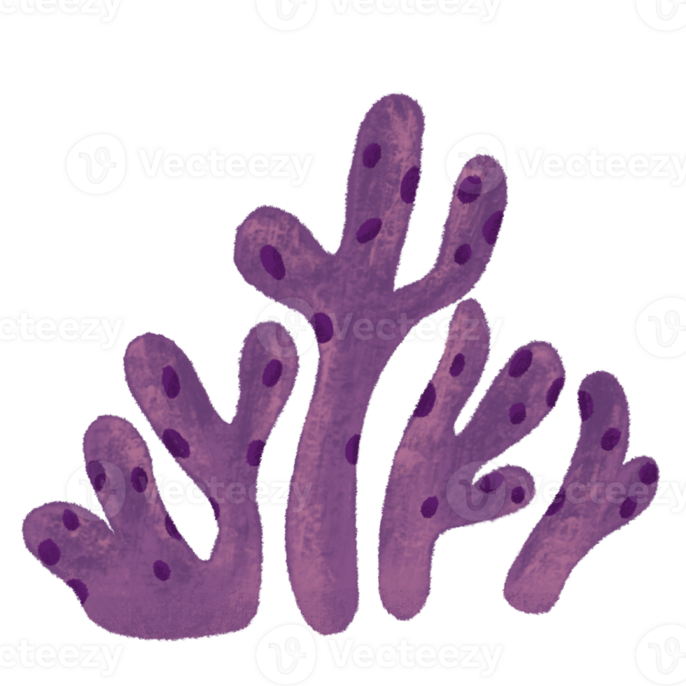 Purple Coral Sea Plant png