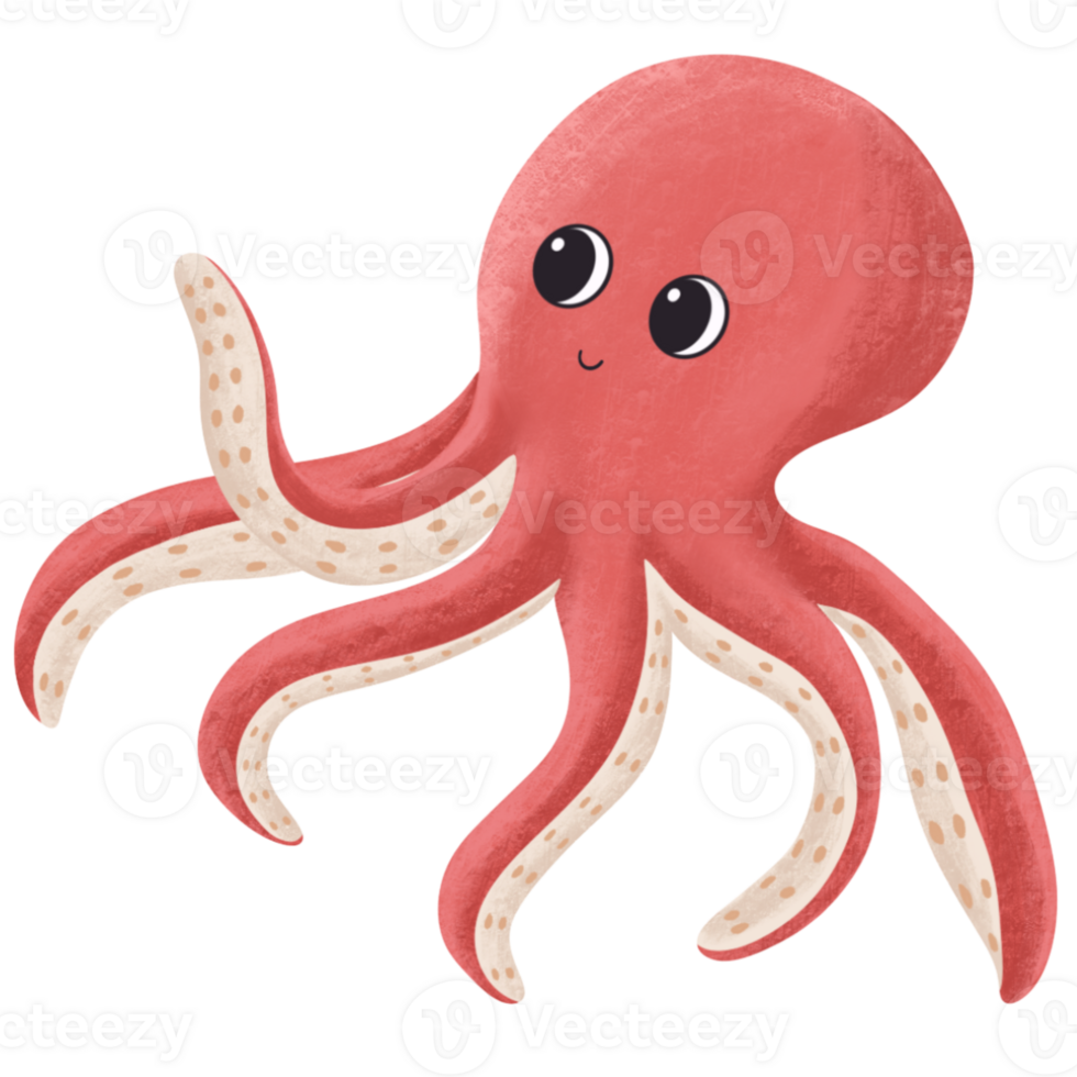 Pink Octopus cute illustration png