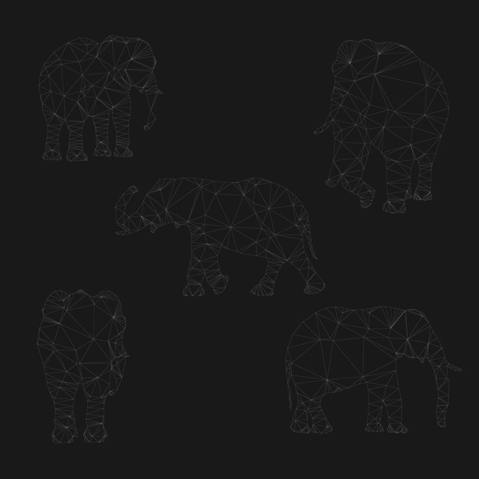 Set of outline polygonal elephants. Collection of geometric animal. illustration. vector
