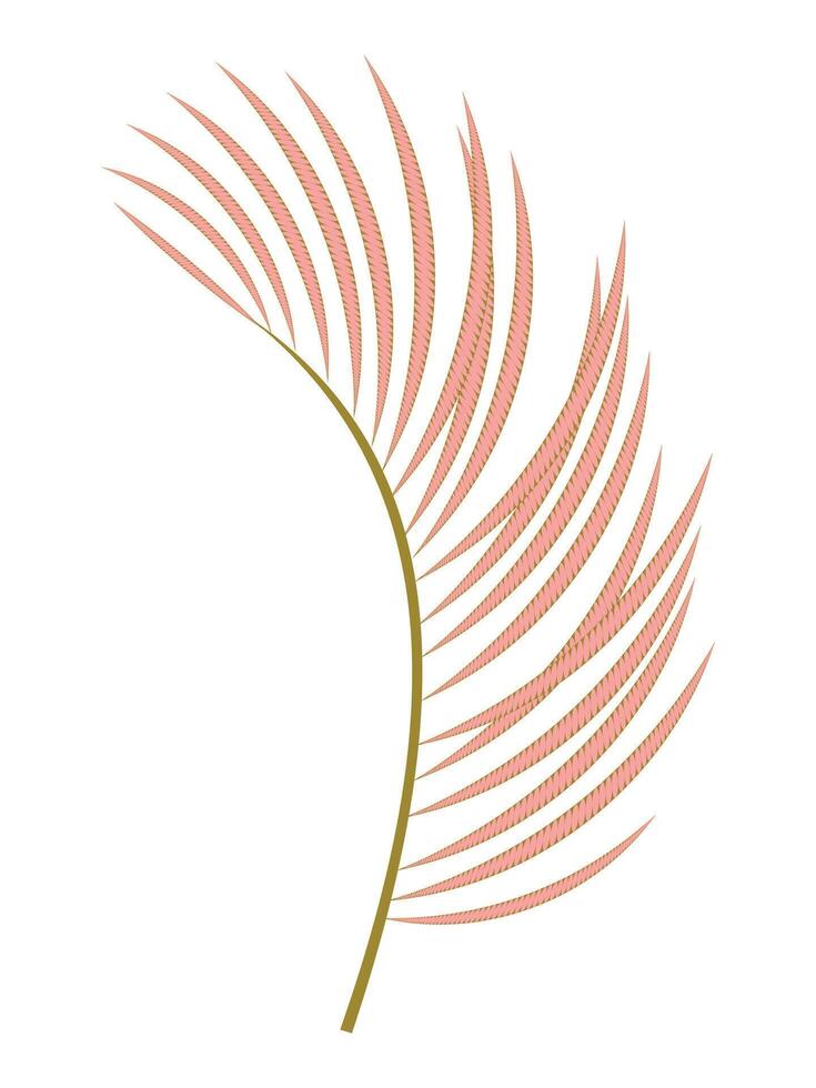 Palm pink decorative one leaf isolated on white background. vector