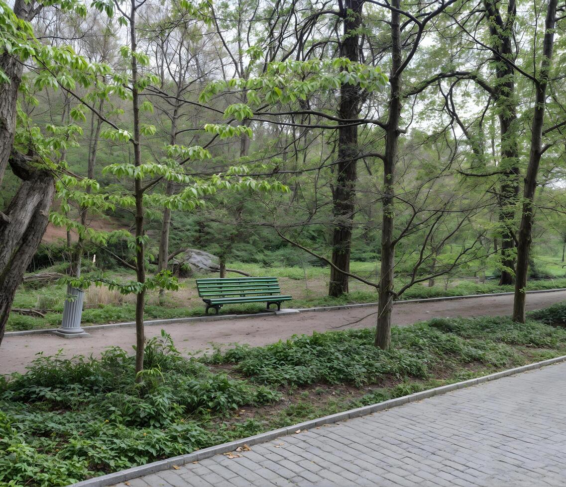 The spring park alley is dotted with neat benches that are so welcome under the first warm sun. photo