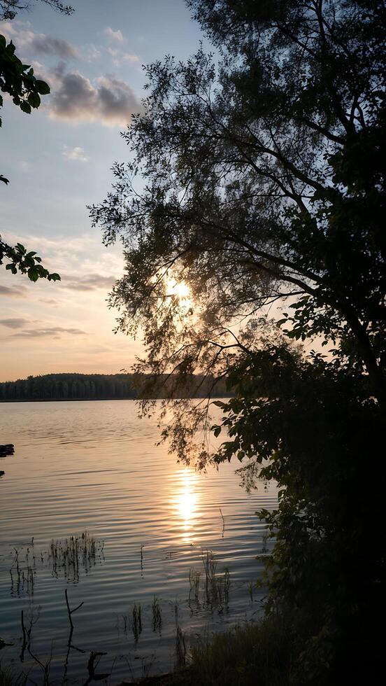 Magical sunset. A magical sunset over a river, where the last rays of the sun create a golden-pink glow on the water. photo