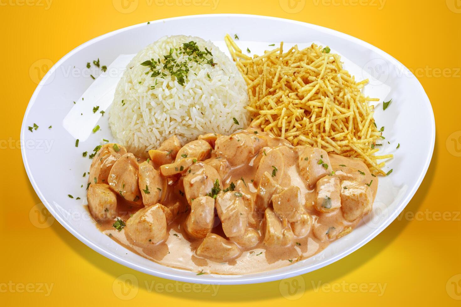 chicken stroganoff rice potato straw. photo