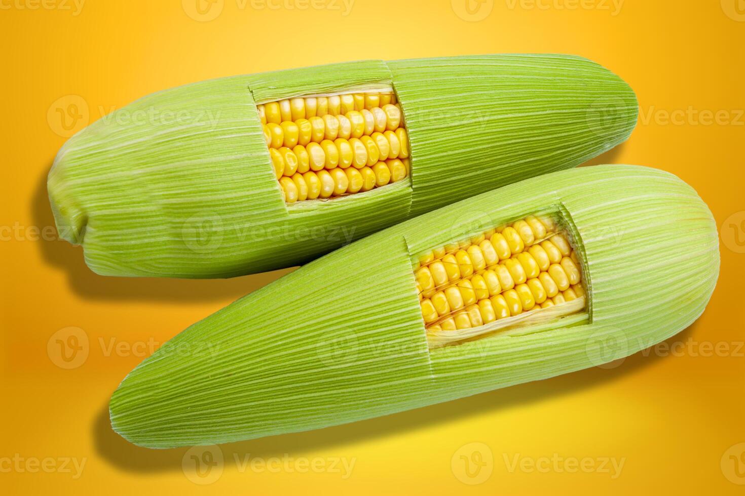 Green corn food photo