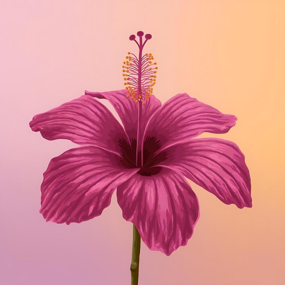 A pink hibiscus flower is shown against a pink and yellow background photo