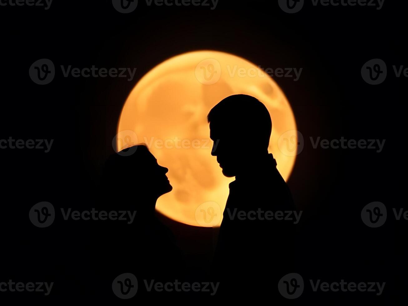 A couple is silhouetted against the full moon photo