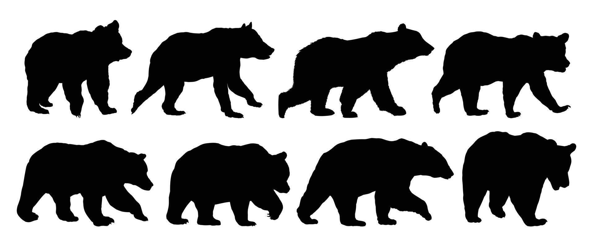 The set silhouettes of big bears. vector