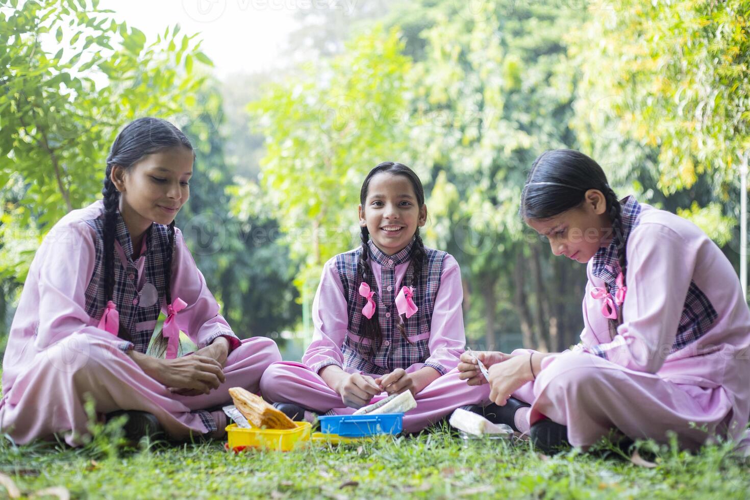 One Intelligent Girl Student Reading A Book In The Park photo