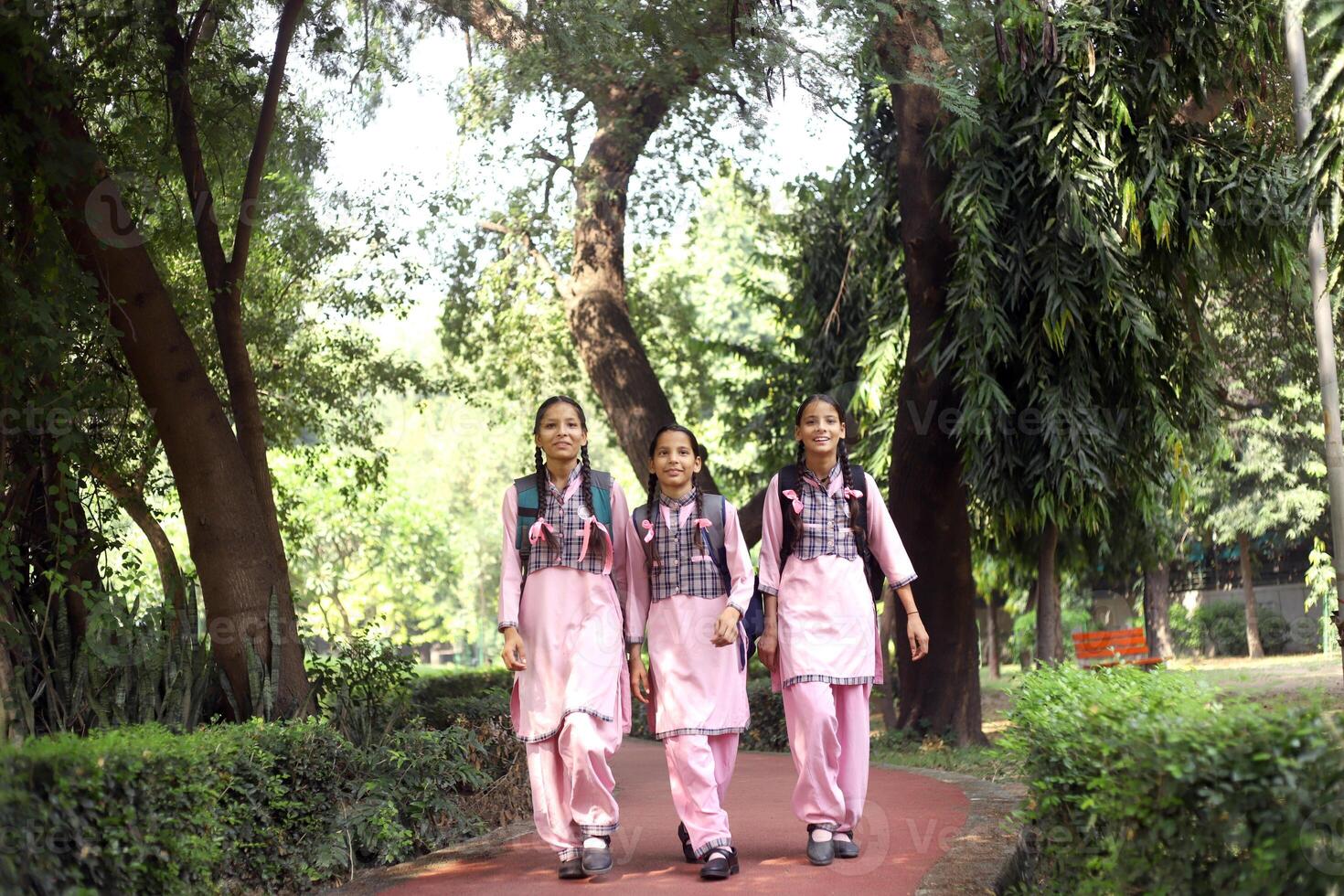 Female Friends In School Uniform Going To School Holding Hands photo