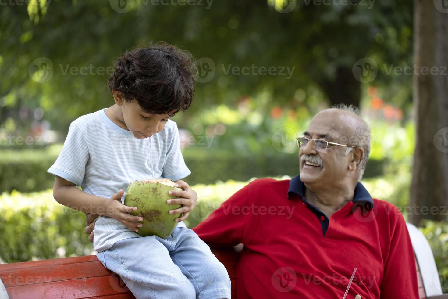 Grandpa And Grandchild Sitting In Park And Enjoying Summer Coconut Water Drink photo