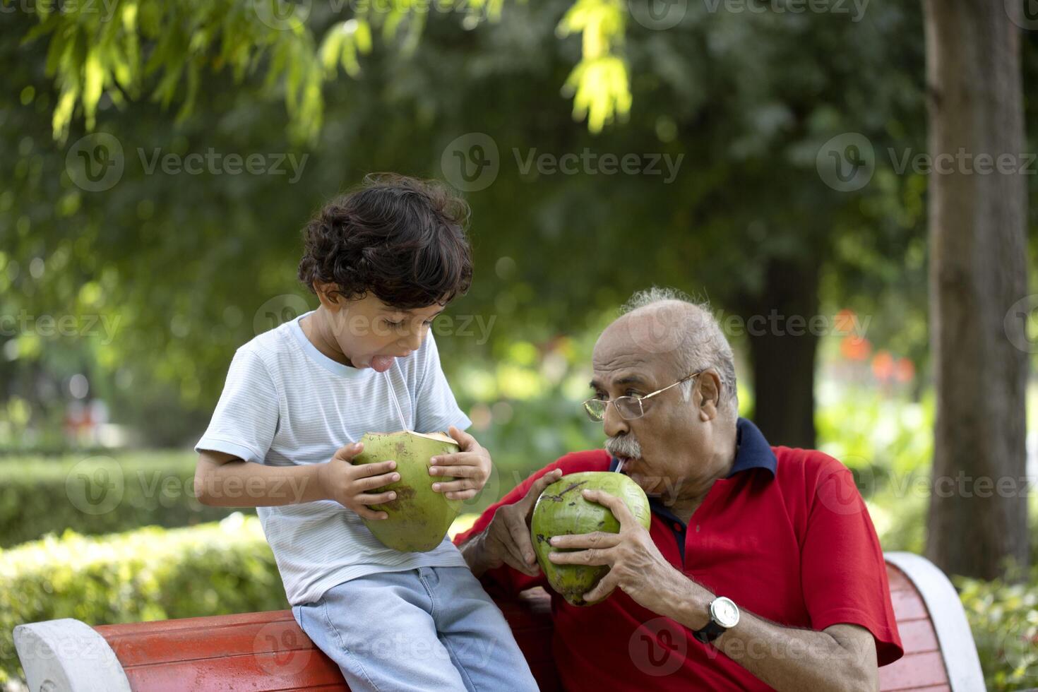 Grandfather And Grandchild Enjoying While Drinking Tender Coconut Water With A Straw photo