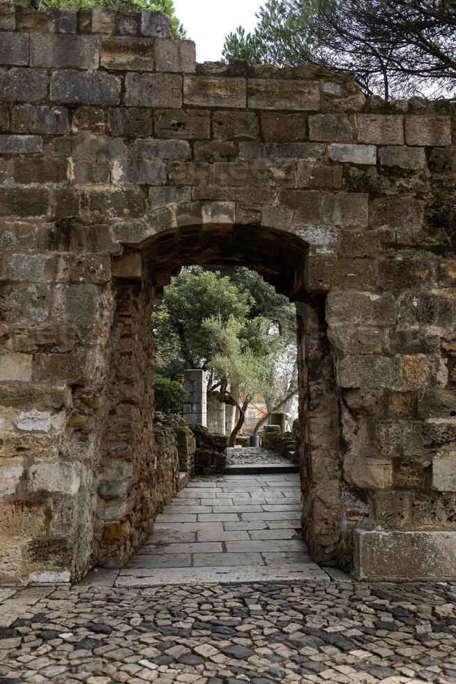 stone arch spans tranquil, tree-lined path. Sunlight filters gently through dense foliage, creating serene and inviting woodland atmosphere photo