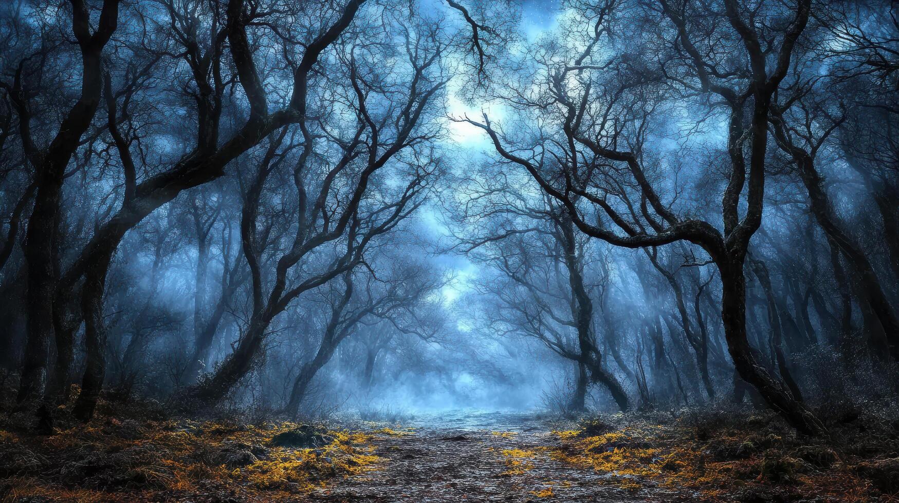 A dark forest with trees and fog photo