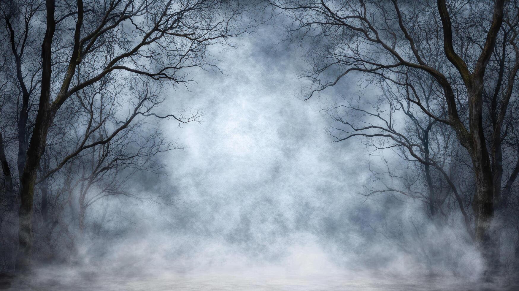 A dark forest with fog and trees photo