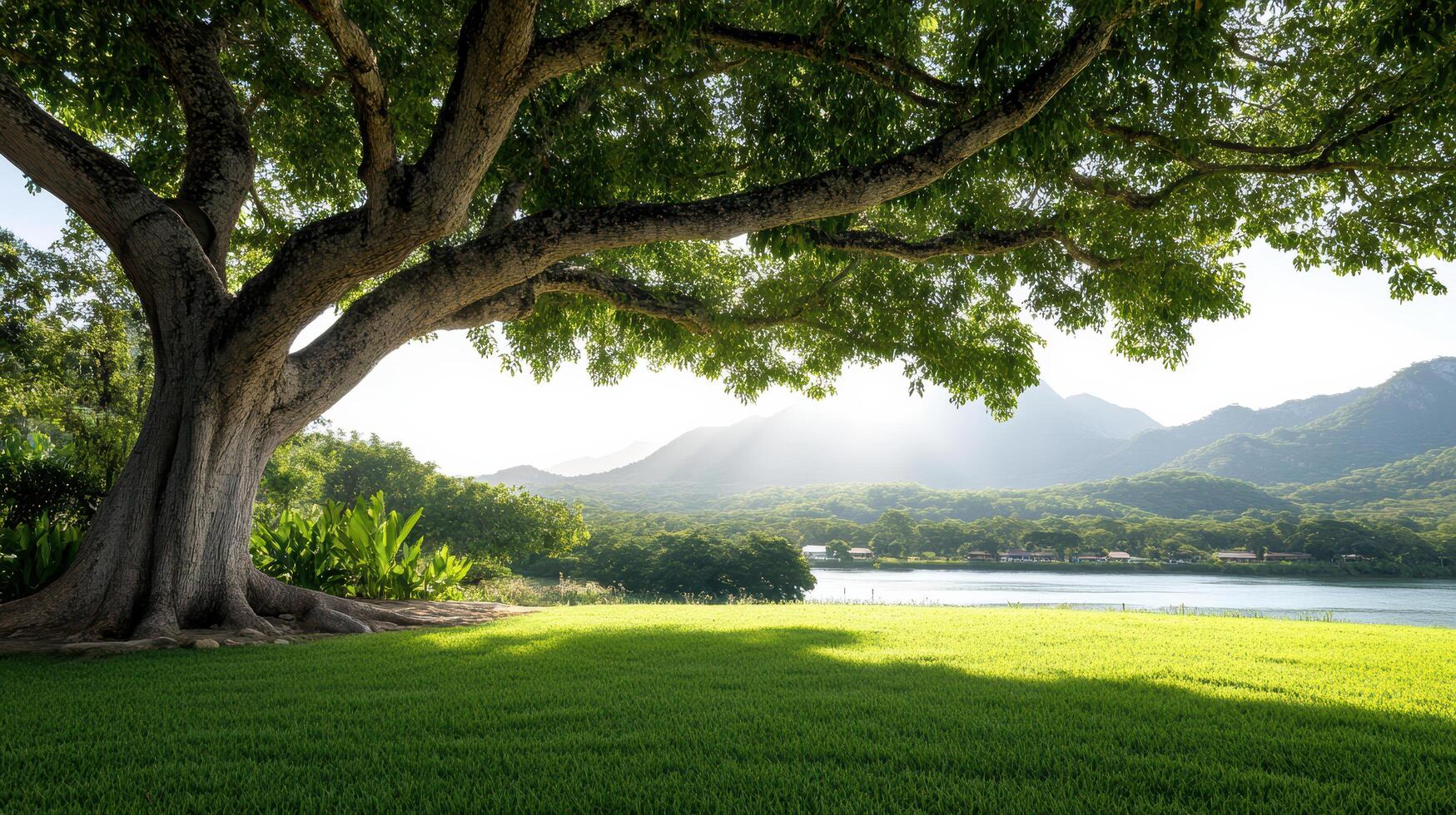 A large tree with a large branch photo