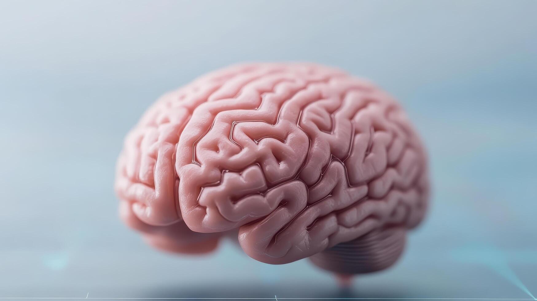 detailed model of human brain showcasing intricate folds and structures, symbolizing photo