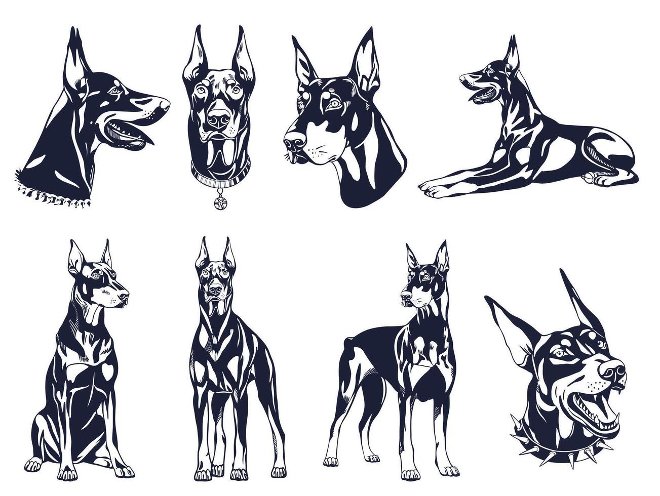 Doberman Pinscher Illustration Collection vector