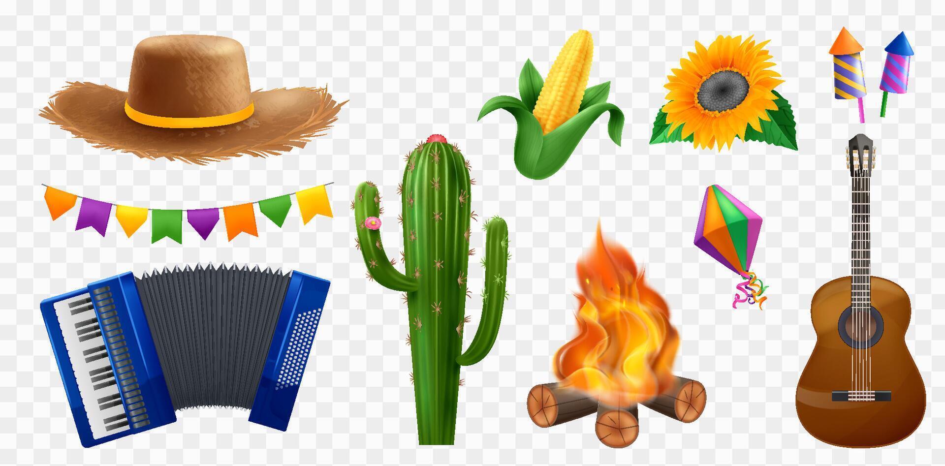 Festa Junina Elements Collection vector