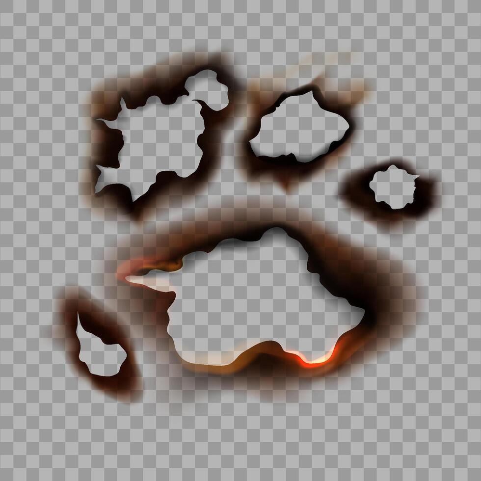 Burned paper spots composition vector