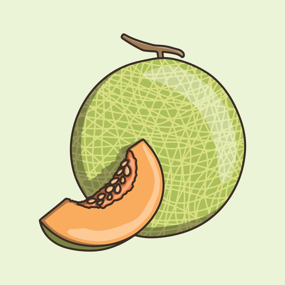 Fresh cantaloupe isolated on green background vector