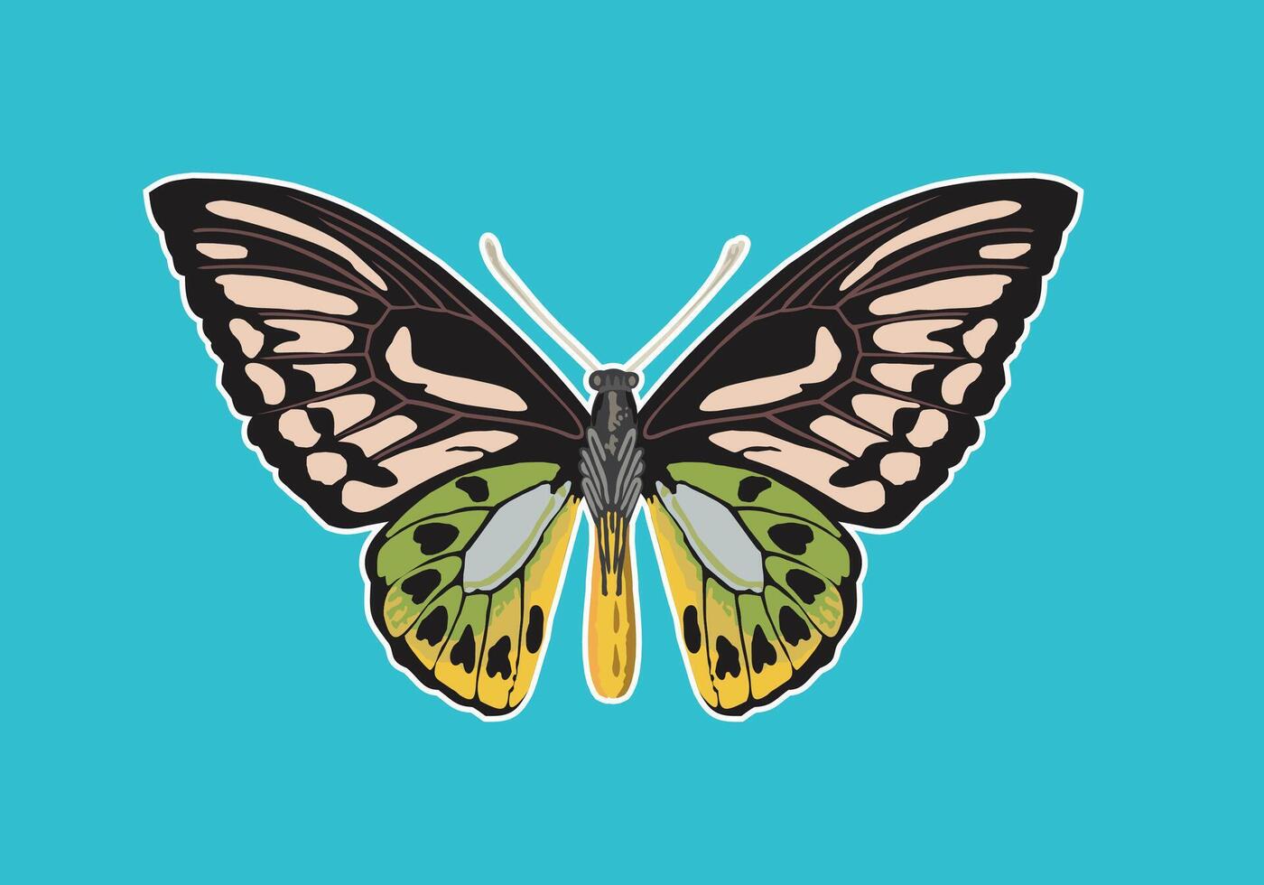 Black Butterfly on Blue background vector